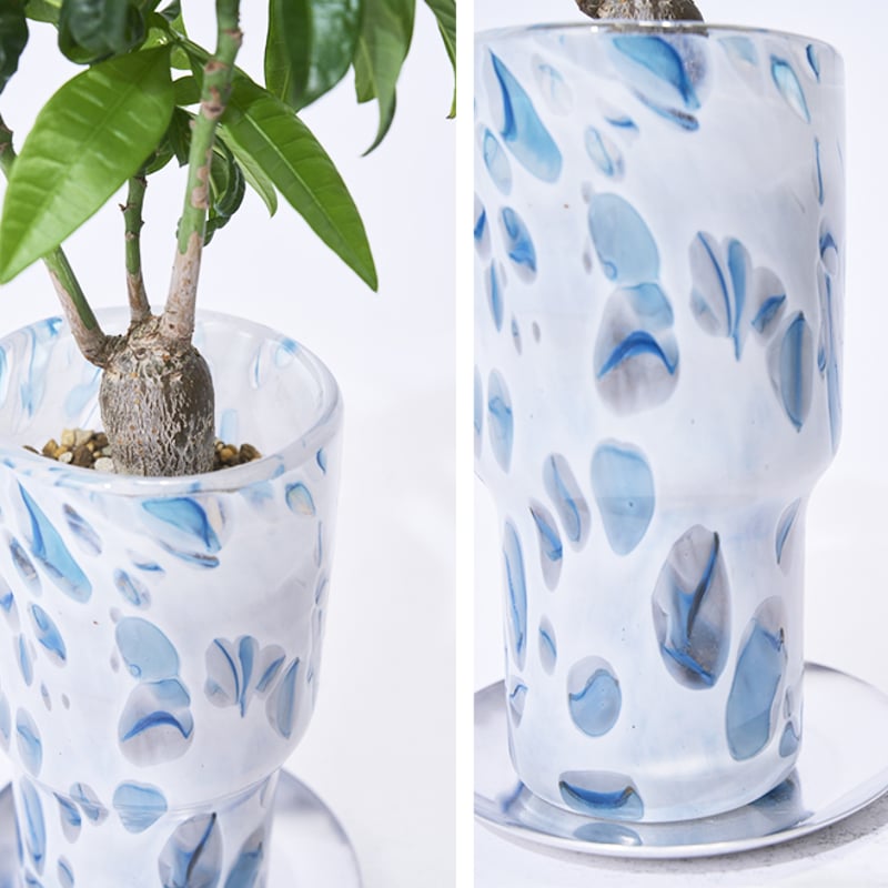 DGガラスステップロングポット＆ソーサー 植木鉢 ガラス鉢 プランター