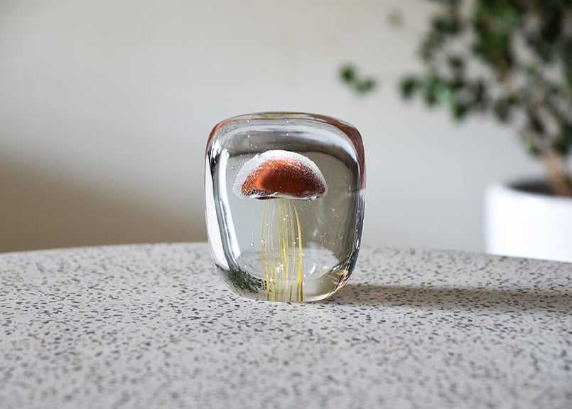 Jellyfish Paper Weight【Square】(ジェリーフィッシュ Jellyfish Paper Weight【Square】(ジェリーフィッシュ