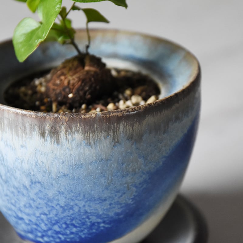 丹波焼 雅峰窯 LUFTオリジナル プランターポット｜Tamba pottery gahoug