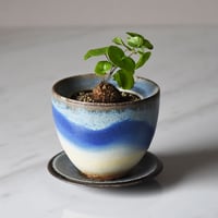 小鹿田焼 柳瀬晴夫窯 4寸皿 小皿 ミニプレート 和食器 民藝 飛び鉋