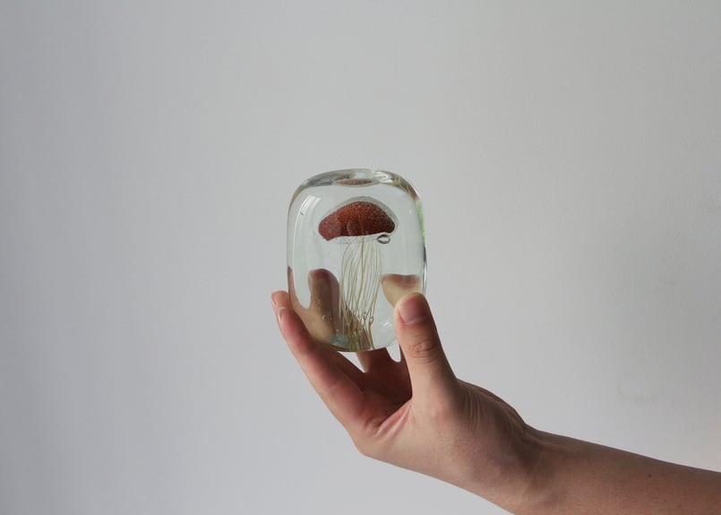 Jellyfish Paper Weight【Square】(ジェリーフィッシュ Jellyfish Paper Weight【Square】(ジェリーフィッシュ