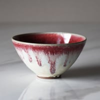 丹波焼 信凜窯 仲岡信人 彩色灰釉 ボウル 赤｜Tamba pottery shinringama bowl 丼 どんぶり ボウル 茶碗 和食器 器 丹波立杭 焼き物 窯元 ギフト プレゼント