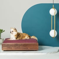 LUSSO ベッド ウォールナット材 ペット家具 天然木 ペットベッド ペットクッション ペット用品 犬 猫 ねこ くつろぎスペース 寝心地抜群 犬用ベッド おしゃれ 犬のベッド ペットソファ