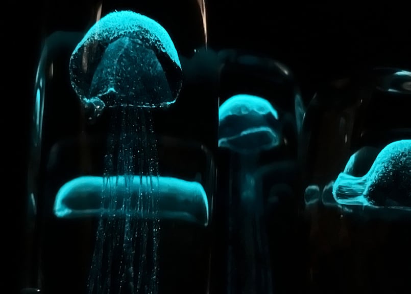 Jellyfish Paper Weight【Tall】(ジェリーフィッシュ ペーパー Jellyfish Paper Weight【Tall】(ジェリーフィッシュ ペーパー