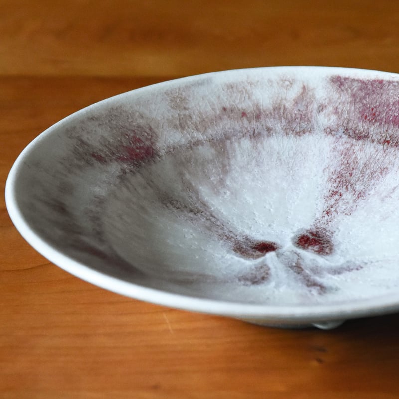 丹波焼 信凜窯 仲岡信人 彩色灰釉 皿 赤 22㎝｜Tamba pottery