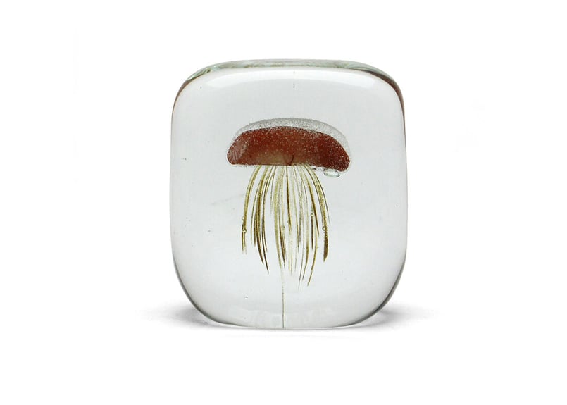 Jellyfish Paper Weight【Square】(ジェリーフィッシュ Jellyfish Paper Weight【Square】(ジェリーフィッシュ