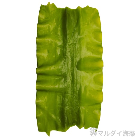 生昆布 150g