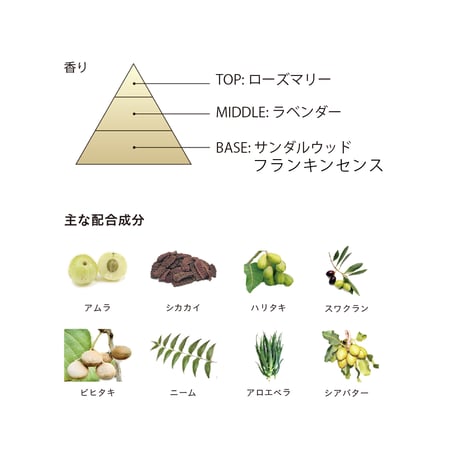 BOTANICOAT 自然派リタッチカラー 【all the time】  2本セット(色味選択自由)
