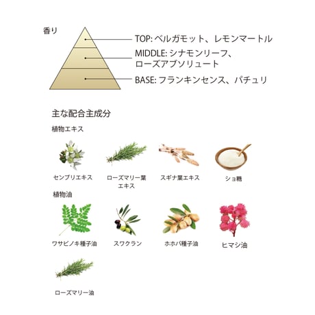 BOTANICOAT スカルプリバランシングシャンプー 310ml