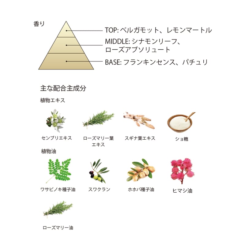 BOTANICOAT スカルプリバランシングシャンプー 310ml | BOTANICOAT