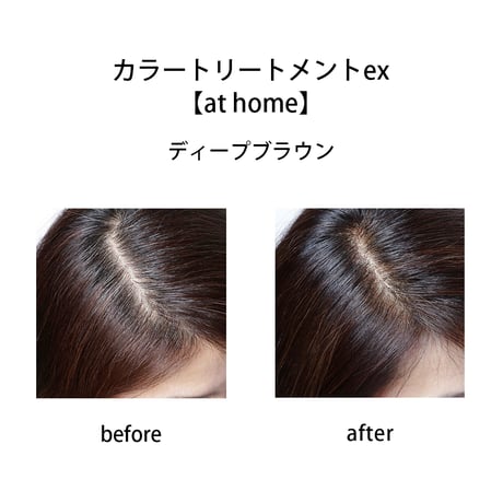 BOTANICOAT カラートリートメントex 【at home】165ml 全３色