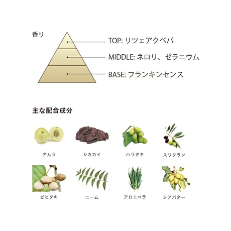 BOTANICOAT 自然派リタッチカラー 【all the time】  2本セット(色味選択自由)