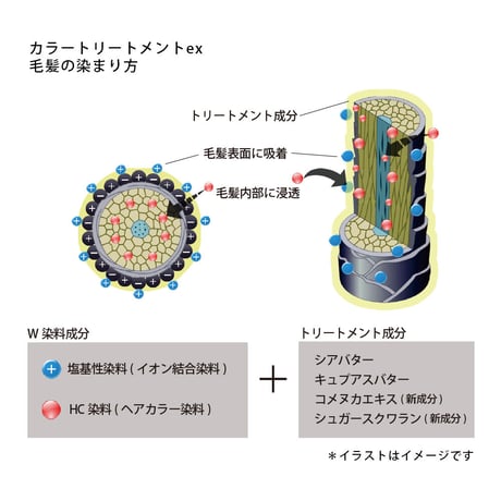 BOTANICOAT カラートリートメントex 【at home】165ml 全３色