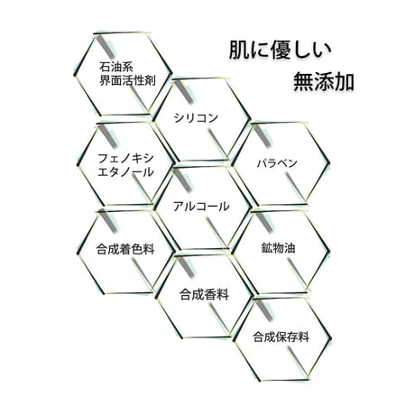 BOTANICOAT スカルプリバランシングシャンプー 310ml