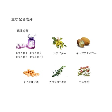 BOTANICOAT カラーブースター 160ml