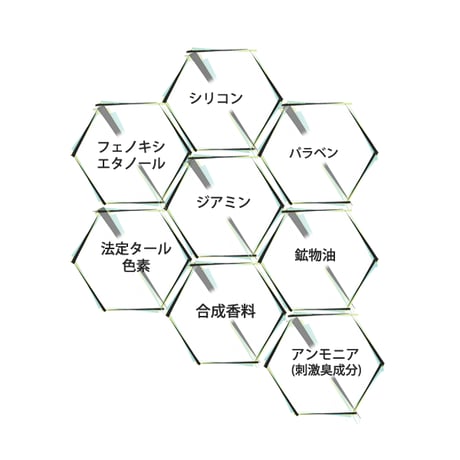 【初回限定 お1人様1点まで】BOTANICOAT カラートリートメントex 【at home】2本(30ml)＋ カラーブースター1本(30ml)セット