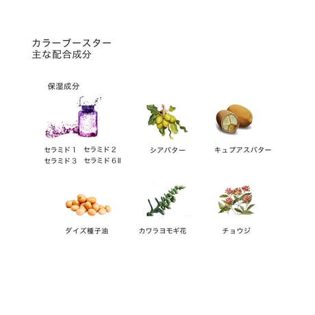 BOTANICOAT カラートリートメントex 【at home】、カラーブースター セット