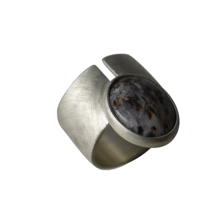 point ring (アストロフィライト）
