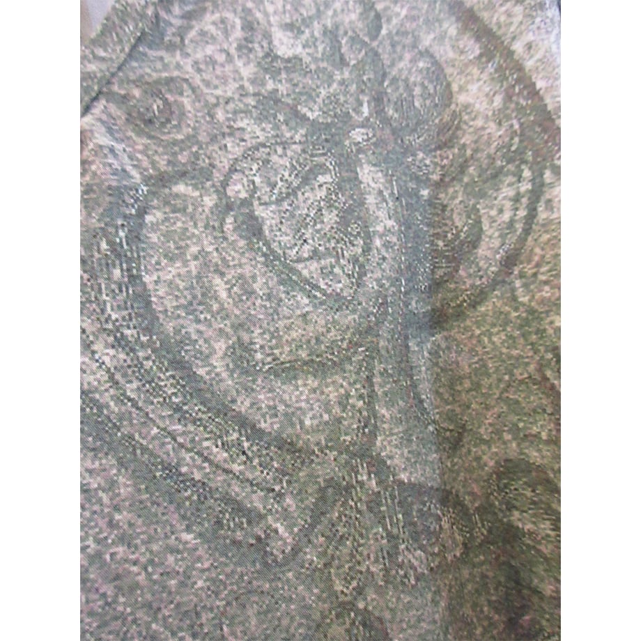 69c5dabf3097d74ec4afee83