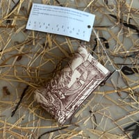 Luisa Cevese coin case