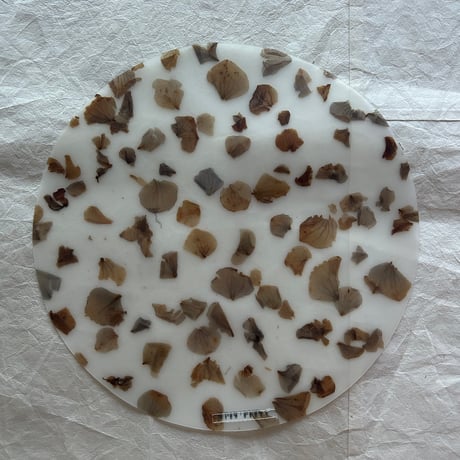 Luisa cevese  medium mat  　ortensia紫陽花