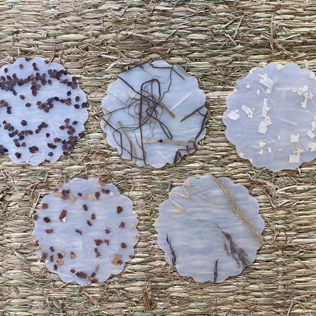 Luisacevese biscuit  そばの実 coaster