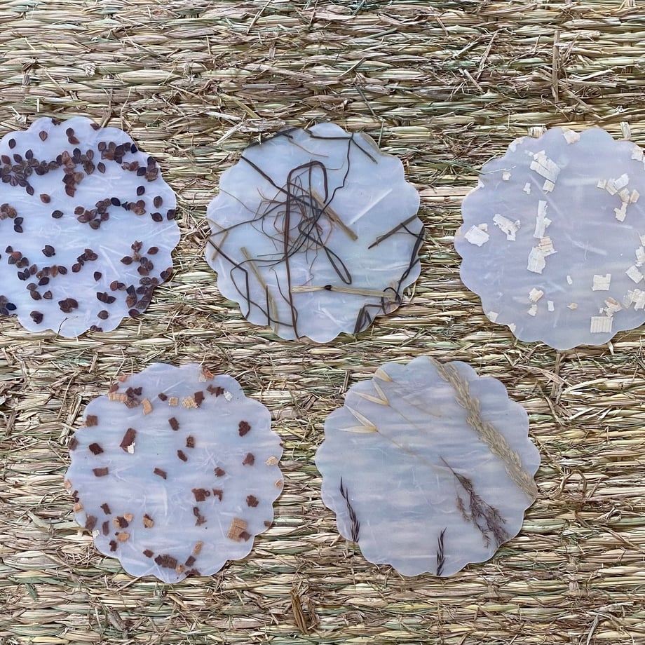 629f1d3bf405a13062e07d05