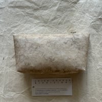 Luisa Cevese   pouch