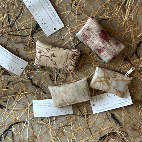 Luisa Cevese coin case