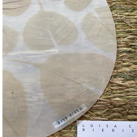 Luisacevese oval luncheon  leaf