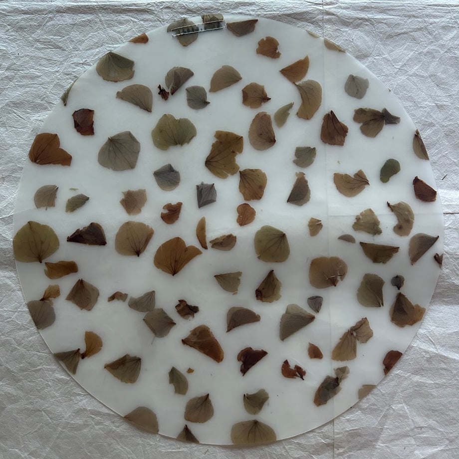 688de5d881cb2942ee36bd41