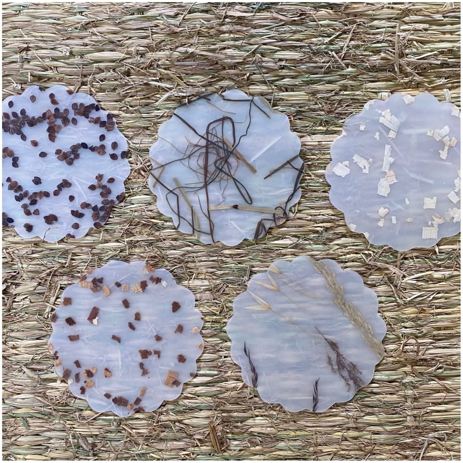 629f1c40f405a1306fe07d3c