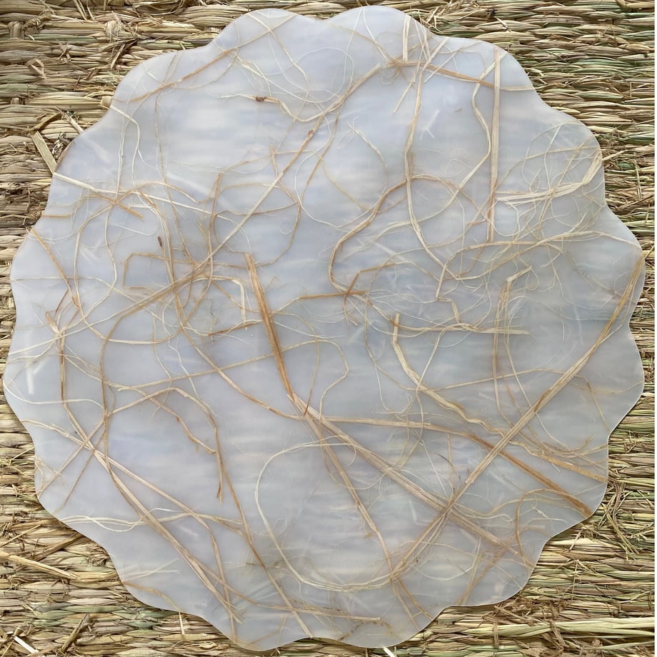 629f23e705362460cae4a23d