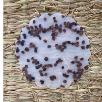 Luisacevese biscuit  そばの実 coaster