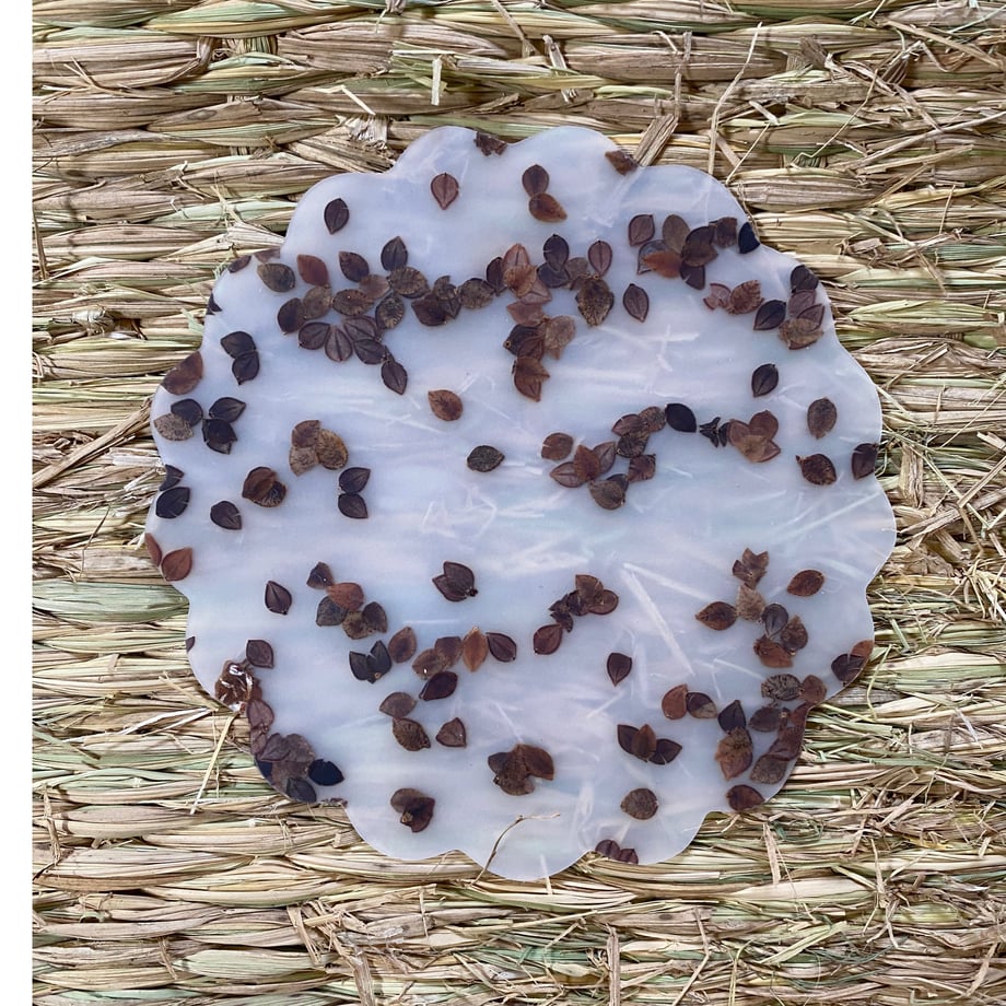 629f1d3bf405a13062e07d05