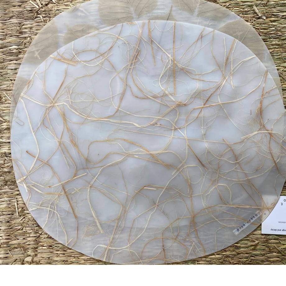 629f210c9705656c54d4bb2c