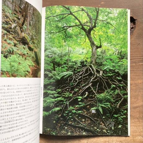 森羅万象 フォトエッセー 八甲田・十和田に生きる／久末正明