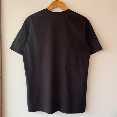 patagonia  BACK FOR GOOD BEAR S/S  パタゴニア オーガニックコットン 熊 ベアー VINTAGE