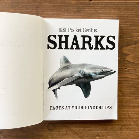 SHARKS＜Pocket Genius＞