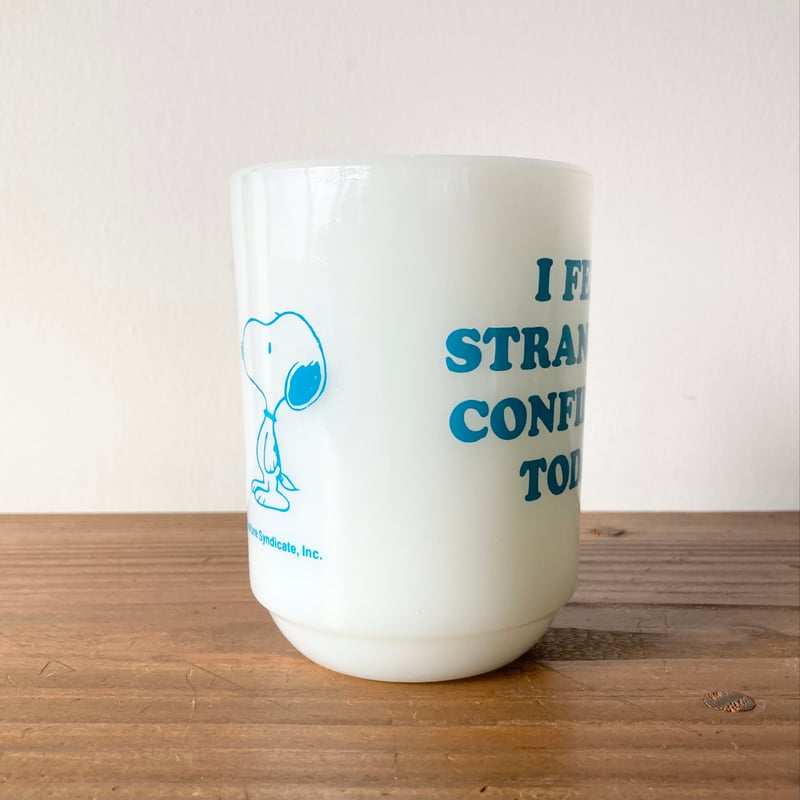 ファイヤーキング・スヌーピー・チャーリー・ブラウン ファイヤーキング スヌーピーマグ、チャーリーブラウン