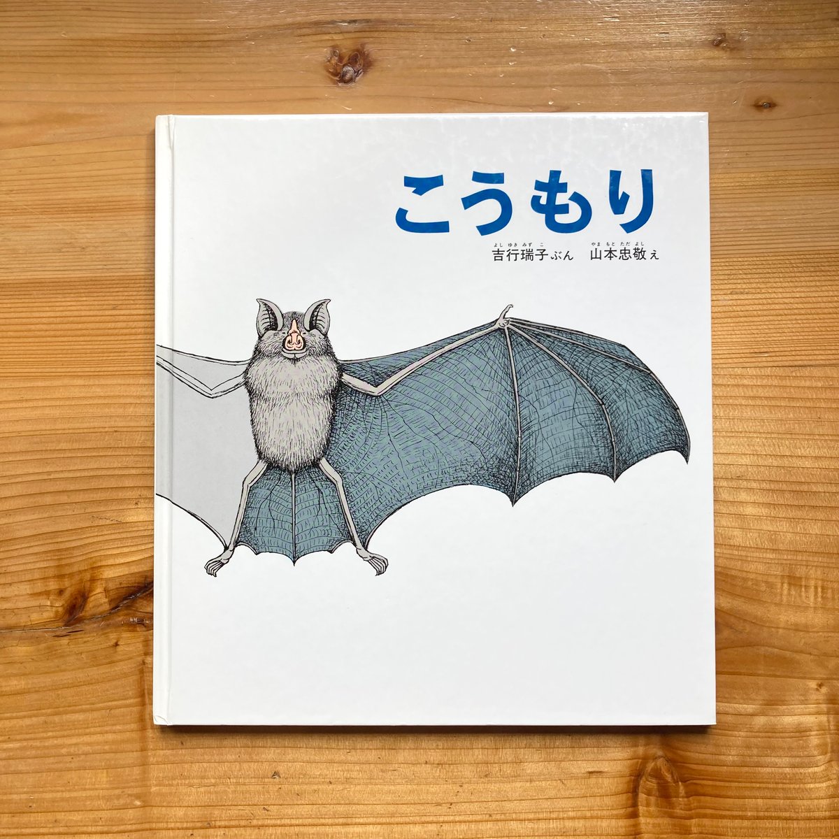 木村武山「月下蝙蝠」コウモリ図 紙本 掛軸 木村武山「月下蝙蝠」コウモリ