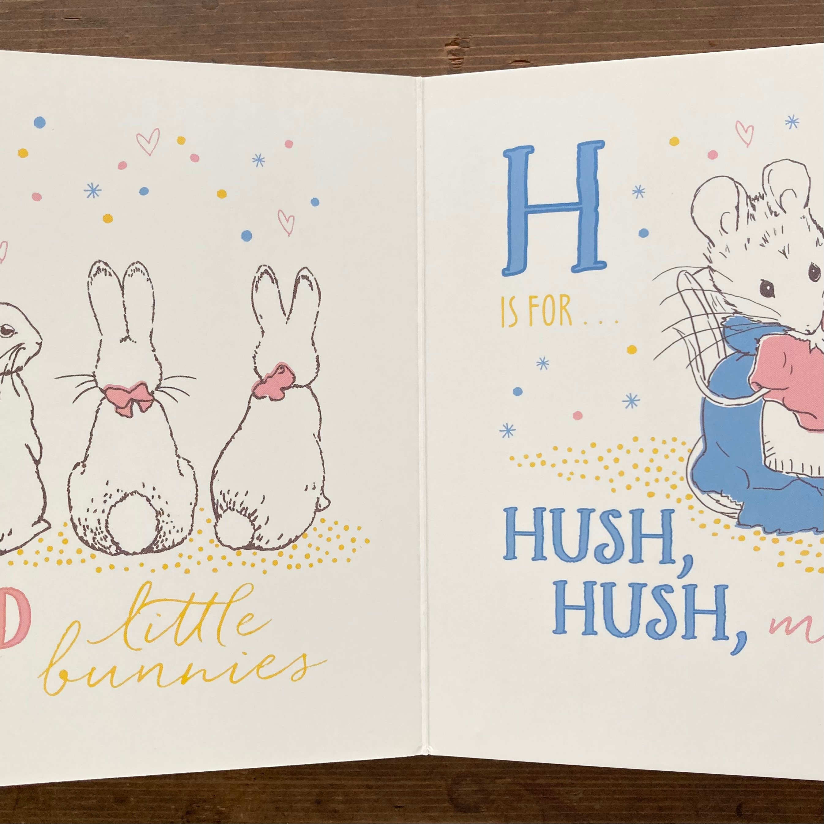 PETER RABBIT ピーターラビット P IS FOR PETER AN ABC BOO