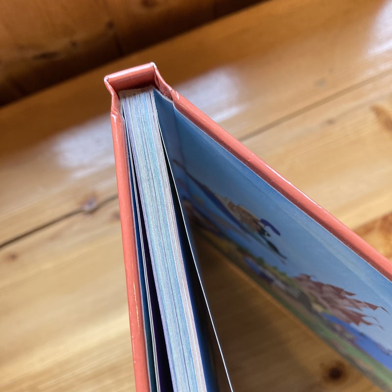 Disney Aladdin アラジン 祭りサイン 世界188枚限定 Disney - ディズニー アラジン Disney Aladdin 絵本 英語の通販