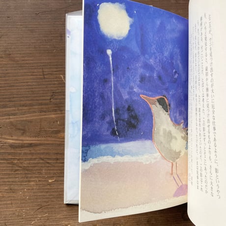 リトル ターン Little Tern／ブルック・ニューマン　リサ・ダークス