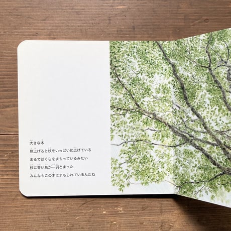 山に入ると THE NORTH FACE KIDS 2015 Spring & Summer ノースフェイス 絵本