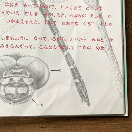 なつやすみ虫ずかん／え・稲田務　ぶん・宮武頼夫