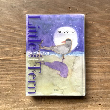 リトル ターン Little Tern／ブルック・ニューマン　リサ・ダークス