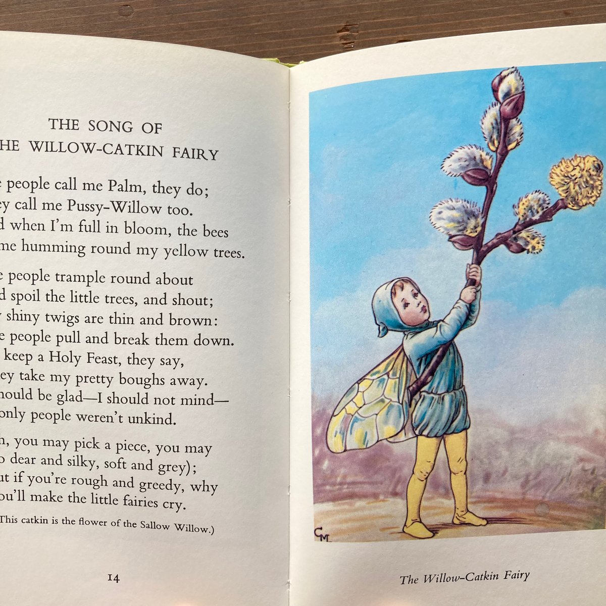 FLOWER FAIRIES OF THE SPRING／Cicely Mary Barker