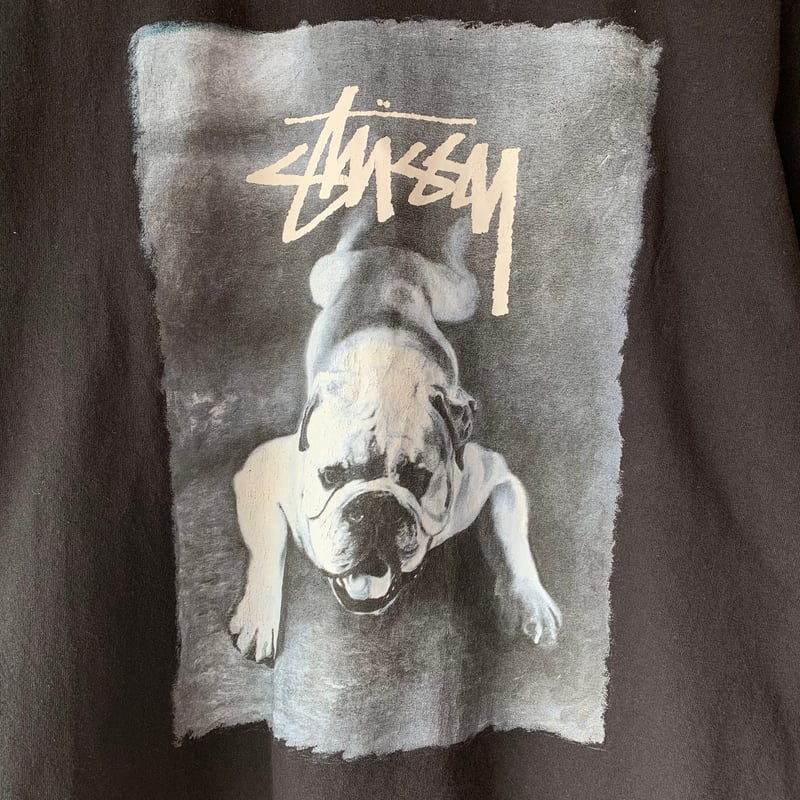 STUSSY 2000s ブルドッグ S/S TEE OLD STUSSY vintage |