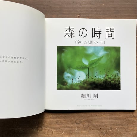 森の時間 白神・奥入瀬・八甲田／細川剛